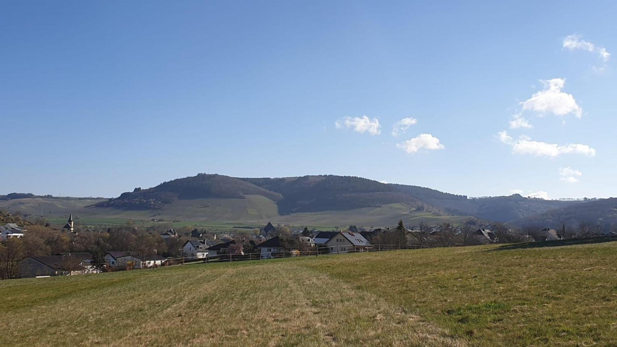 Zimmers Taelchenhof Oberemmel エクステリア 写真